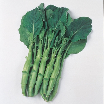 Picture of Chinese Kale - Kailaan